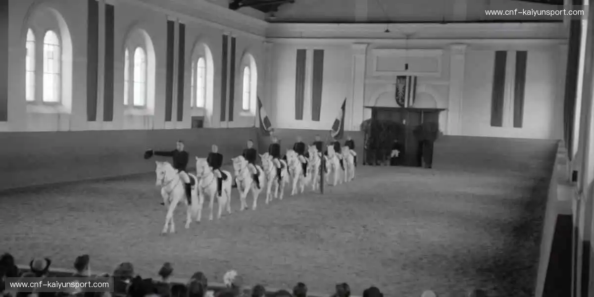 🔥 每一场赛事,都是热血的碰撞!立即加入,见证巅峰对决⚽️🏀